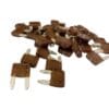 5 Amp Mini Fuse
